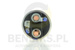Solenoid 231479-MM-ER
